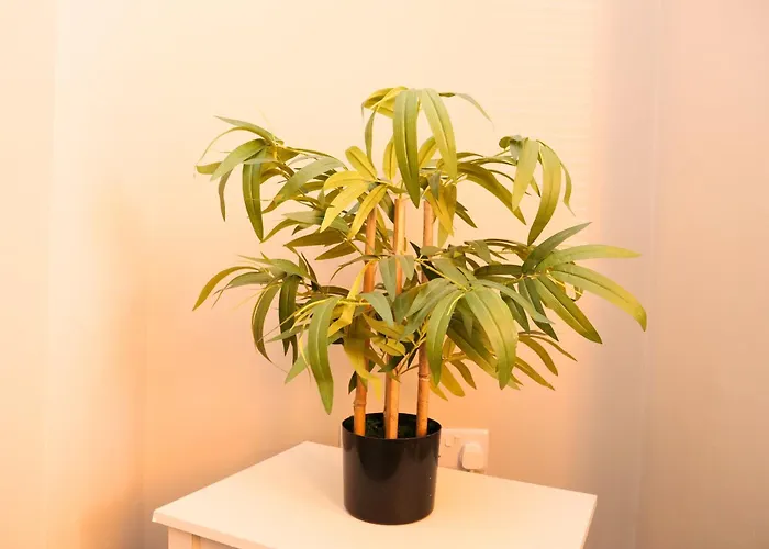 Ashville Grange Sleeps 10 Large Beautiful House *